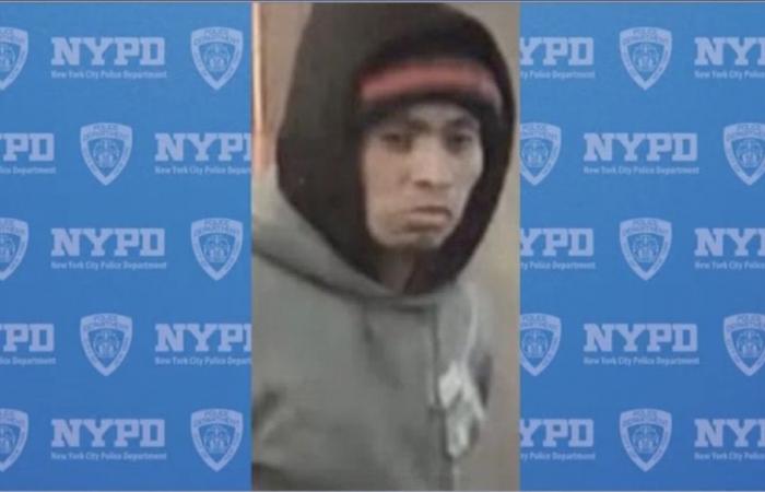 El hombre acusado de la muerte por quemaduras de una mujer en el metro de Nueva York comparece ante el tribunal