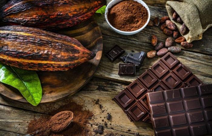 Los científicos simplemente no entendían nada sobre el chocolate antes. Aquí tienes el que debes comer para no arruinar tu salud.