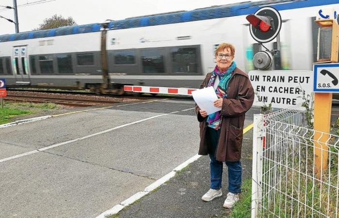 “Nunca deberíamos haber aceptado su cierre”: La Vraie-Croix quiere resucitar su estación fantasma