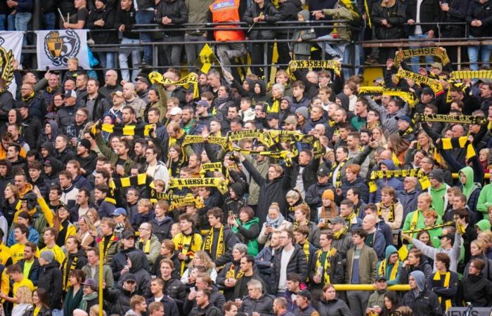 Oficial: Lierse conoce a su nuevo entrenador… ¡y es un nombre conocido! – Todo el fútbol