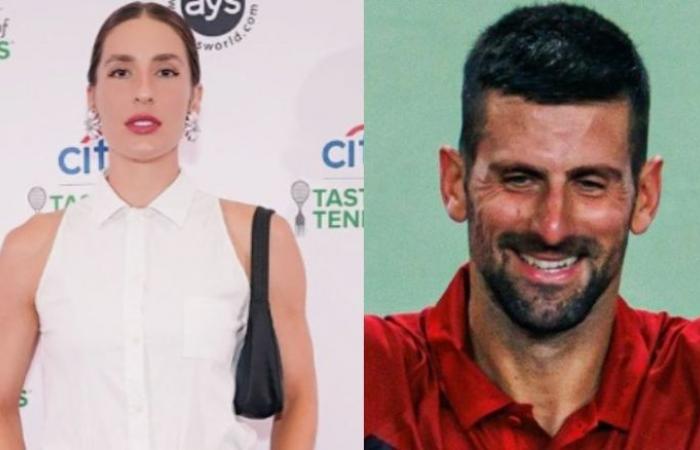 Tenis. ATP – Petkovic: “Si Djokovic gana en Australia, me gustaría que parara”