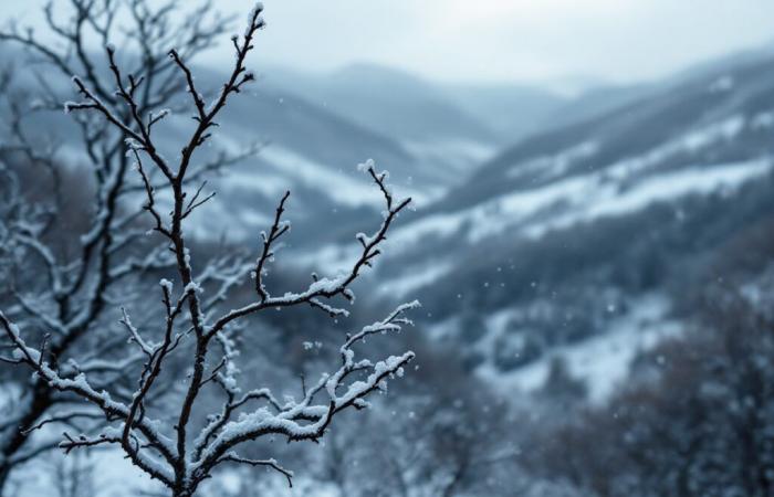 Frío y nieve para las fiestas navideñas