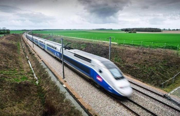 Una decena de TGV retrasados ​​tras un “accidente personal” en Sena y Marne