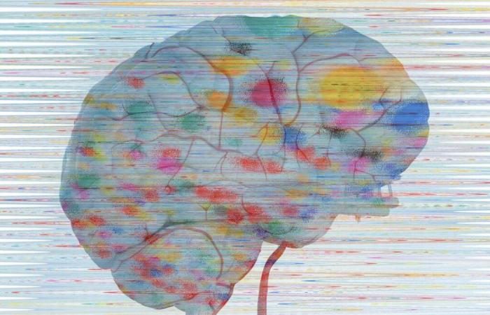 Sólo utilizamos el 10% de nuestro cerebro, nuestra inteligencia depende de nuestra materia gris… ¿En serio? Cinco “neuromitos” analizados