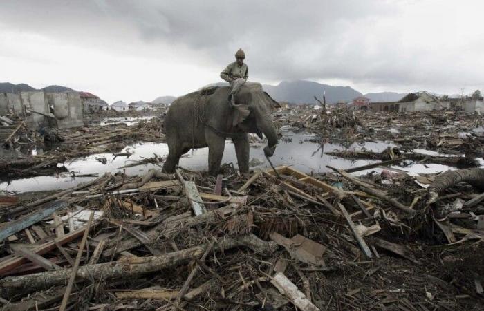 Oraciones y lágrimas conmemoran los 20 años del tsunami en el Océano Índico que mató a 230.000 personas