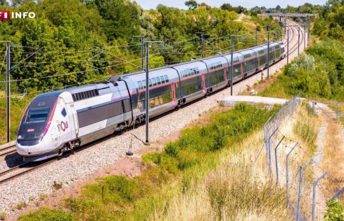 Suicidio de un maquinista de tren SNCF: ¿cómo se detuvo el TGV?