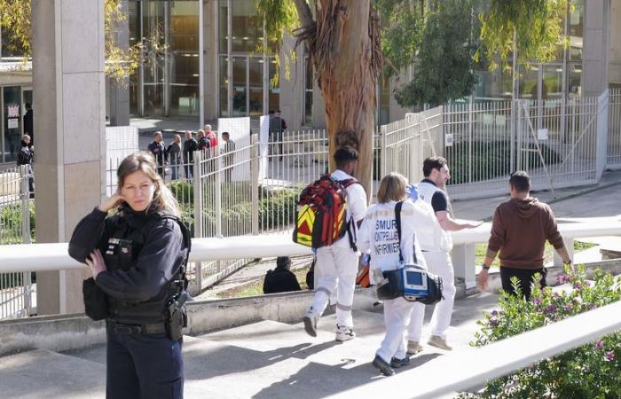 RETRO 2/12. Contaminantes eternos en Salindres, feminicidio en los juzgados de Montpellier… los hechos que marcaron la región en febrero de 2024