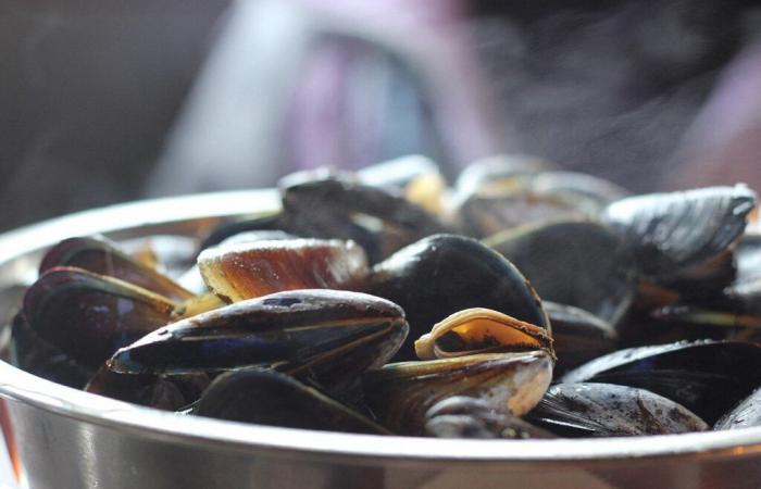 Leclerc, Intermarché, Auchan… Mejillones retirados del mercado en toda Francia porque contienen salmonella