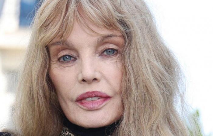 Arielle Dombasle (El repartidor de Navidad): ¿quién es su primer marido, Paul Albou?