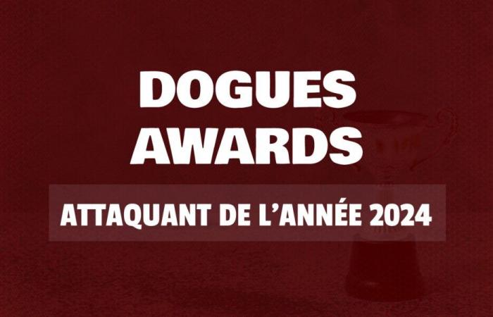 Premios Dogues 2024: Eligen al delantero del año del LOSC