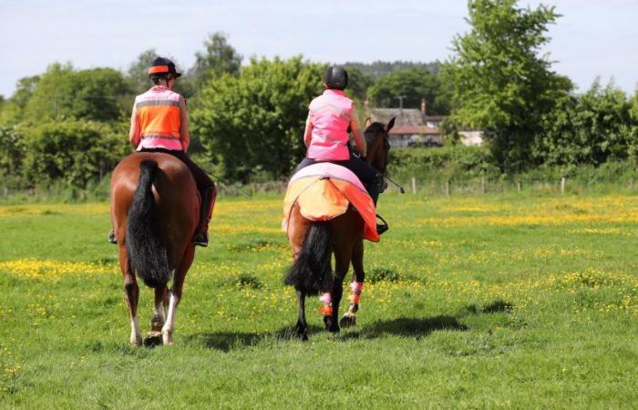 “Un gran paso” para la seguridad de caballos y jinetes, ya que el gobierno elimina la fecha límite de grabación