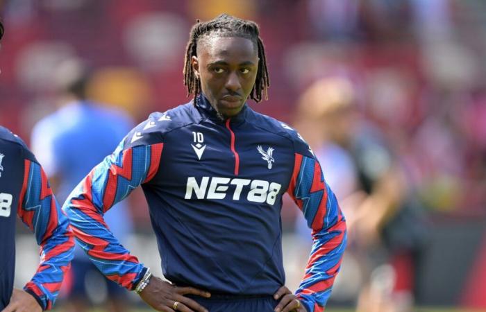 Noticias sobre lesiones en Crystal Palace para el partido de Bournemouth: buenas y malas noticias en el frente de selección para Glasner – South London News