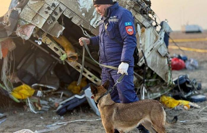 Misil ruso, pájaros o explosión: ¿qué versiones sobre el accidente aéreo dan los medios y las autoridades?