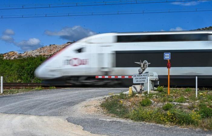 Suicidio del conductor de un TGV: “Era humanista, pacifista, comprometido”… Padre de dos hijos, el ferroviario era “alguien importante” para sus compañeros de Saint-Étienne