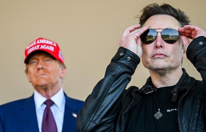 ¿Se convertirá Elon Musk en una molestia para Donald Trump?