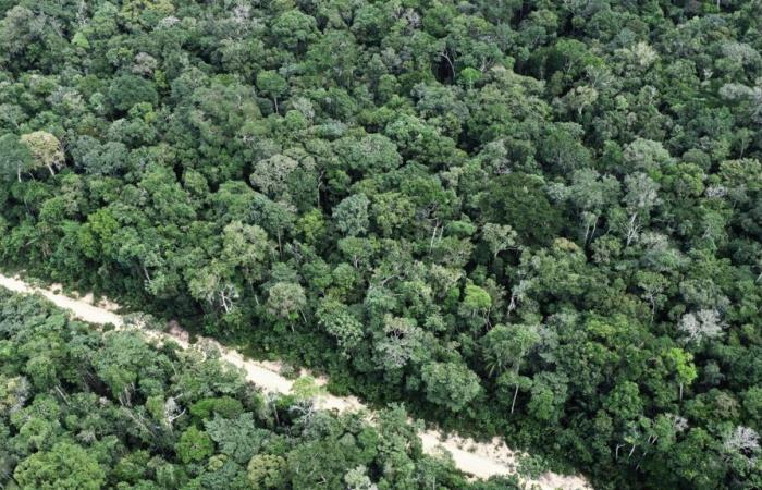 En Brasil, una comunidad indígena aislada en el Amazonas fue fotografiada por primera vez