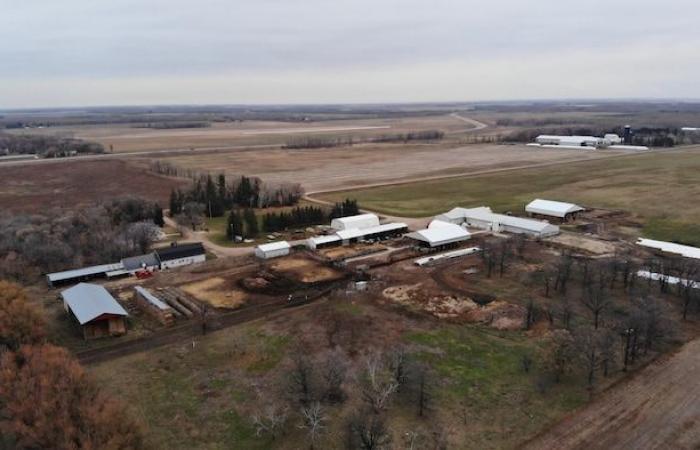 La temporada navideña, a veces “oscura” en los campos de Manitoba