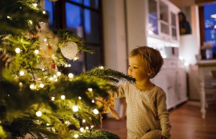 ¿Cuándo y cómo deshacerte de tu árbol de Navidad?