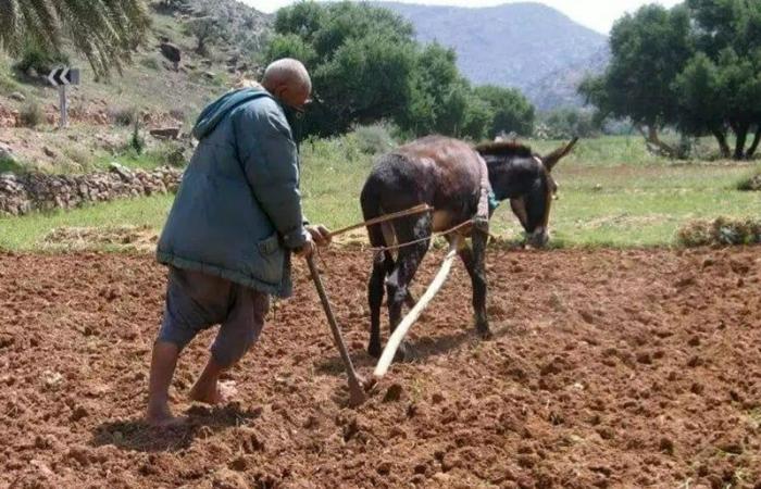 un aumento para los sectores agrícola y no agrícola