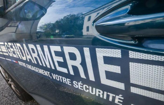 Mosela. En sentido contrario en la A4 entre Metz y Saint-Avold, un conductor interceptado por los gendarmes en Longeville-lès-Saint-Avold