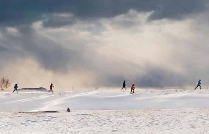 Próximamente los primeros cruceros de invierno en el St. Lawrence