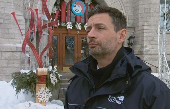 Prohibición temporal del uso de estufas de leña en Quebec