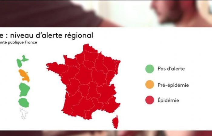 Gripe, Francia en alerta roja