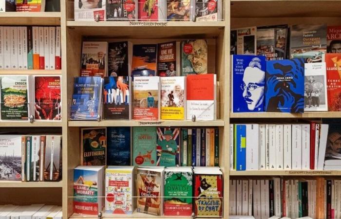 Los autores conocerán en tiempo real las ventas de sus libros en 2025