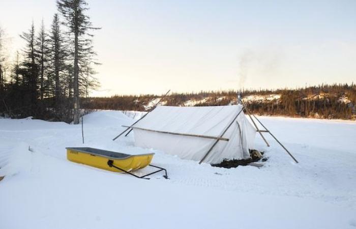 Próximamente los primeros cruceros de invierno en el St. Lawrence