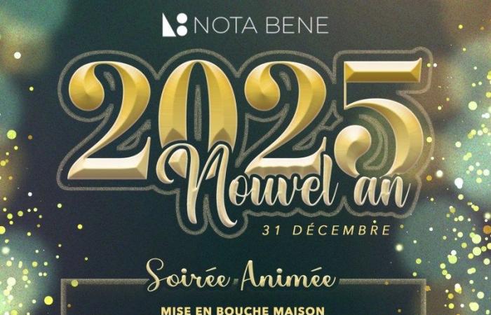 Descubra las fiestas de Nochevieja 2025 en Saint-Etienne.