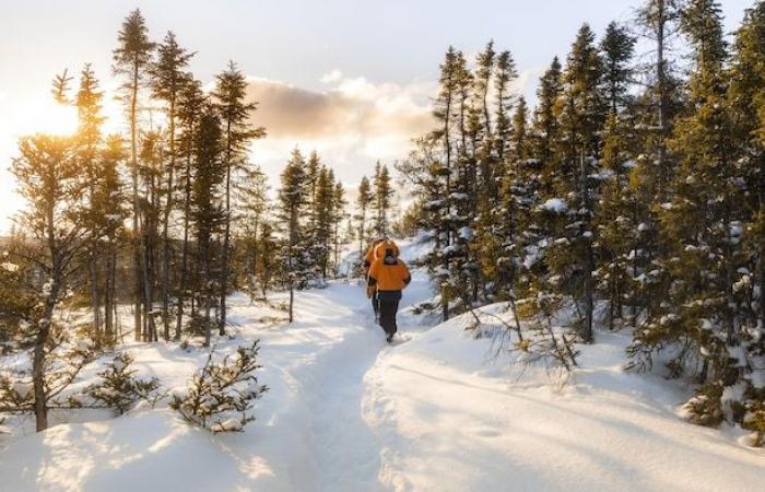 Próximamente los primeros cruceros de invierno en el St. Lawrence