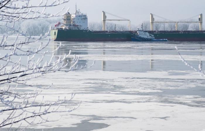 Río San Lorenzo | El barco chipriota MV MACCOA sigue varado cerca de Verchères