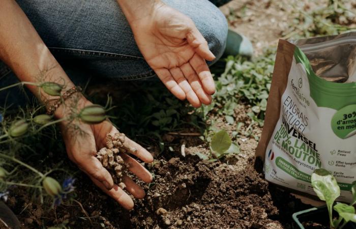 Aveyron. Doblemente coronada por su innovación, esta finca agrícola es una joya