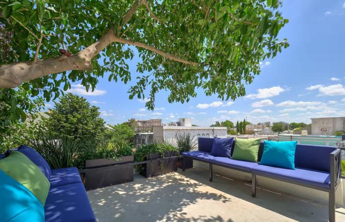 Una casa estrecha en dos volúmenes con piscina.