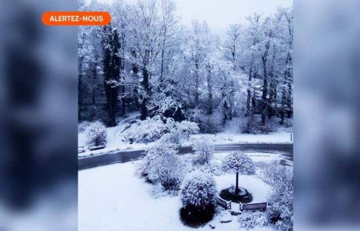 Parte de Bélgica cubierta de nieve: todavía se esperan algunos copos