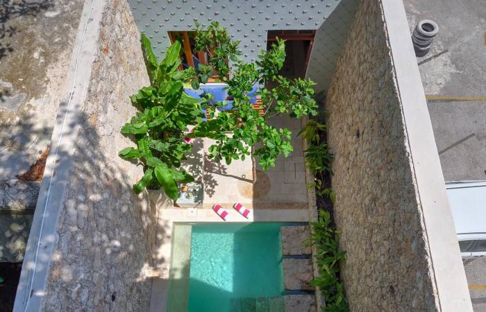 Una casa estrecha en dos volúmenes con piscina.