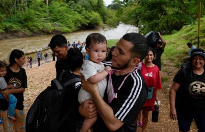 Cae en 42 % paso de migrantes por Panamá en 2024