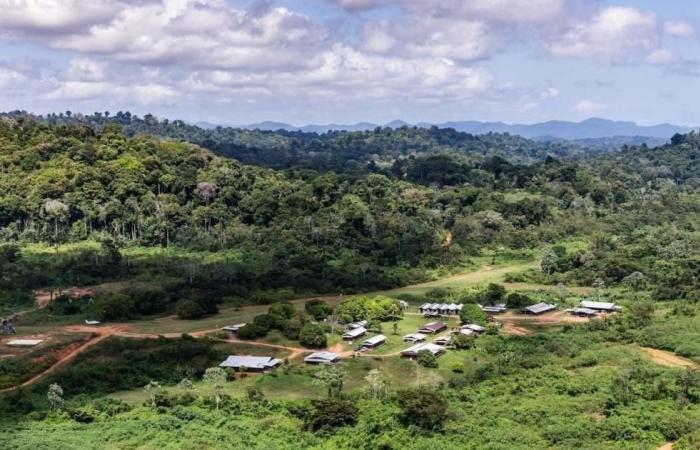 En Guyana, la montaña ahora duerme tranquila – vert.eco