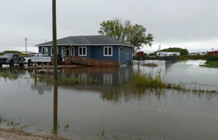 Winnipeg Humane Society al borde de la crisis debido a la capacidad limitada