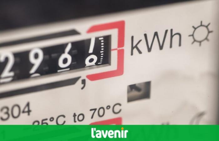 69,7 euros por MWh en 2024: el precio medio de la electricidad en Bélgica casi cuatro veces menor que en 2022