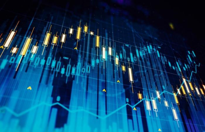 Informe bursátil de Québec inc. | Ganadores y perdedores de 2024