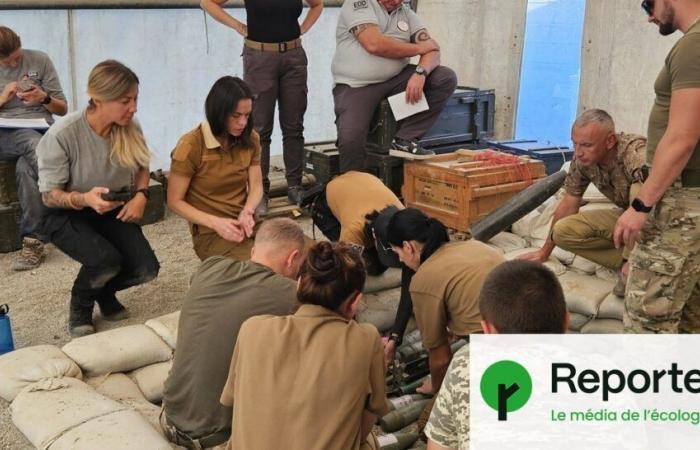 estas heroínas que liberan a Ucrania de las minas