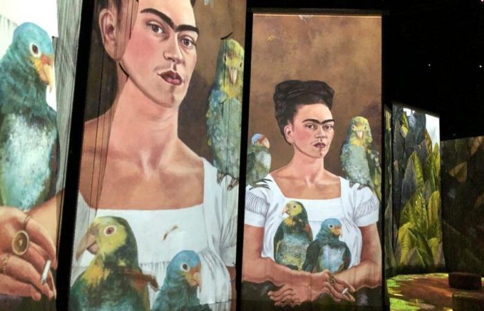 Matisse, Frida Kahlo, Colette… Qué se puede hacer (o no) con las obras de estos artistas, que entraron al dominio público el 1 de enero