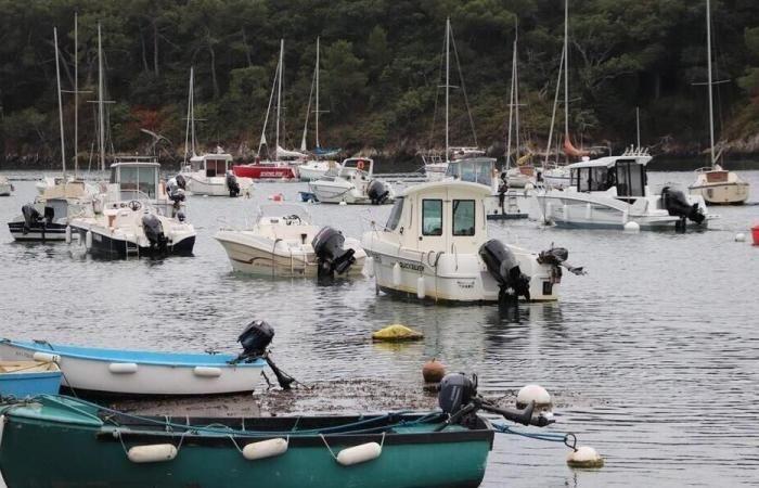 El cuerpo de un hombre encontrado en un puerto de Finistère. Deporte