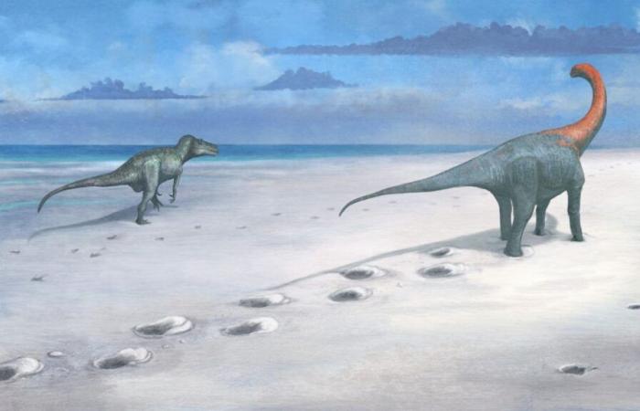 Extraños baches en una cantera del Reino Unido resultan ser una ‘autopista’ de dinosaurios de 166 millones de años de antigüedad para algunos de los dinosaurios más grandes del Jurásico