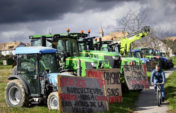 Suiza: los agricultores siguen preocupados por los ingresos en 2025