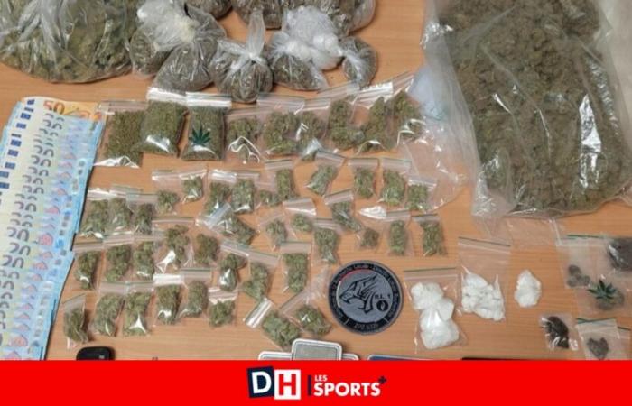 Más de 50.000 euros en efectivo, 34 kg de cannabis: la policía desmantela una red de narcotraficantes activa en Bruselas