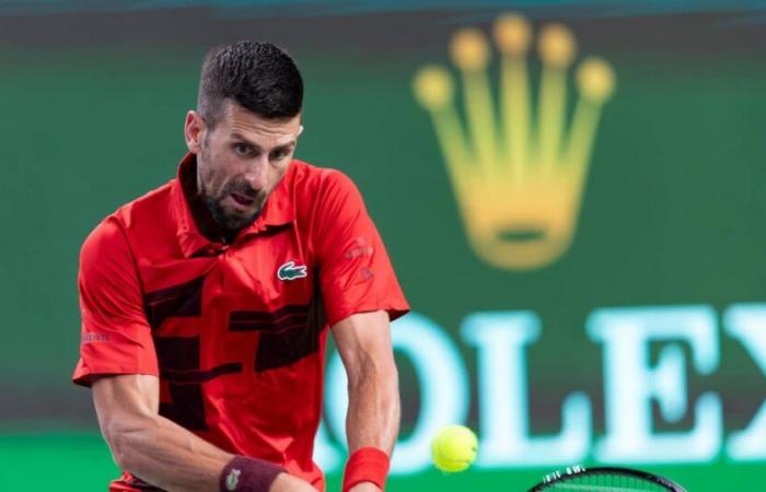 la sorpresa Opelka que elimina a Djokovic en cuartos de final en Brisbane