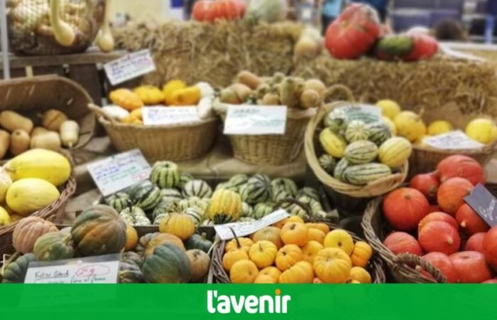 En 2024, los precios mundiales de los alimentos caerán un 2%, estos son los productos afectados