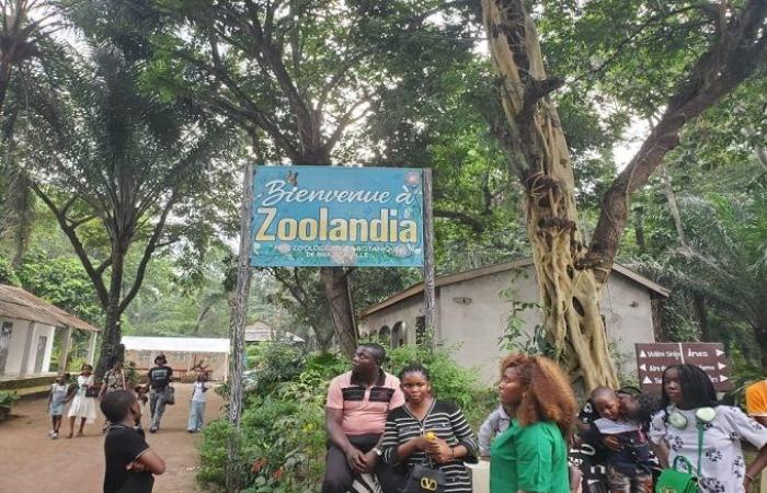 Una verdadera “trampa para turistas” en Brazzaville, ¡los niños se lo pasan genial!